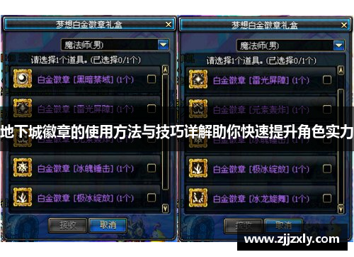 地下城徽章的使用方法与技巧详解助你快速提升角色实力