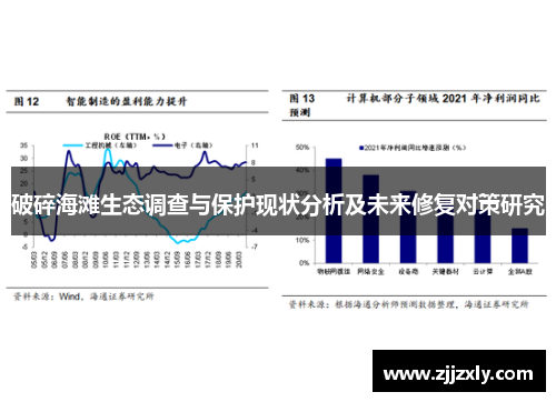 破碎海滩生态调查与保护现状分析及未来修复对策研究